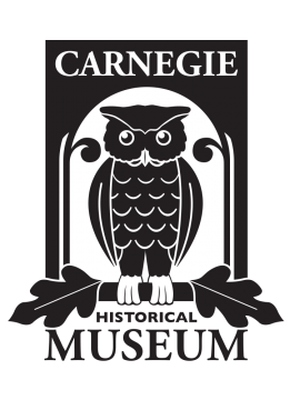 <h1 class="tribe-events-single-event-title">Carnegie Christmas Tree Fundraiser</h1>