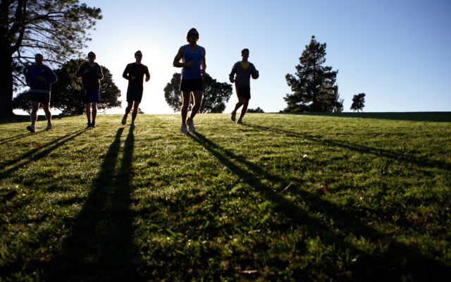 Cross Country Assignments Released