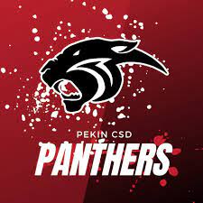 Panthers Lose to Central Decatur In Regional Opener